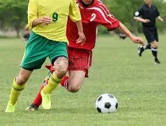 哈兰德酒宴,论足球场,场战记百球,乐彩,LeCai,乐彩注册网址,乐彩app,乐彩官网,乐彩网站,乐彩下载