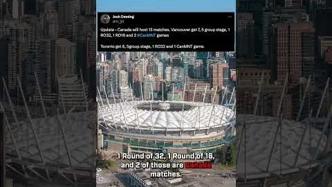 樊振东澳门世界杯弃赛，王皓称乃个人决定——九派新闻披露